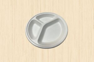 10" 3 CP Round Plate